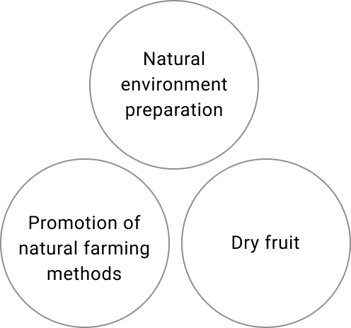 Natural environment preparation, Promotion of natural farming methods, Dry fruit
