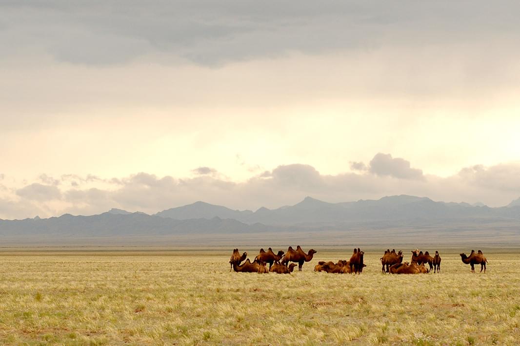 Tourism in Mongolia